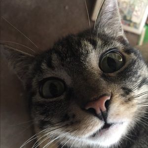 Meet your Posher, Carmela